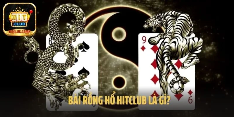 Bài rồng hổ hitclub là gì?