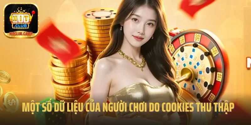 Một số dữ liệu của người chơi do cookies thu thập 